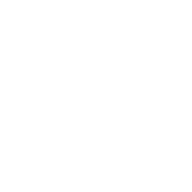 Meerpunt